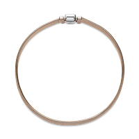 Bracciale Pandora Donna Reflexions in Argento 588782C00-16 - 588782C00-18